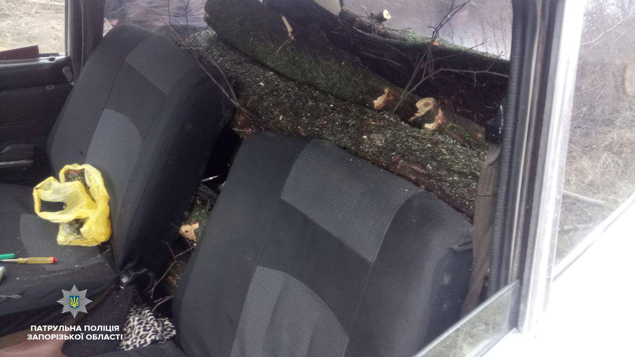 В Запорожской области патрульные остановили около 3 тысяч автомобилей с нелегальным грузом (ФОТО)