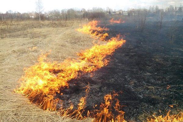 В Запорожской области более 50 спасателей тушили масштабные пожары