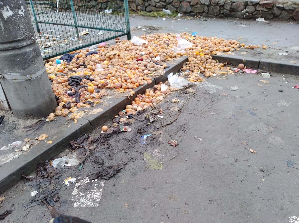 В центре Запорожья обнаружили свалку гнилых мандаринов (ФОТО)