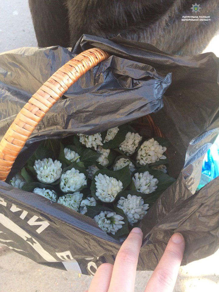 В Запорожье полиция накрыла точку, где незаконно продают подснежники (ФОТО)