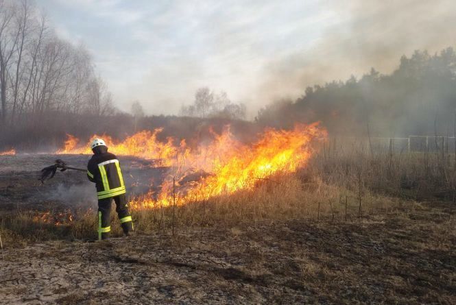 В Запорожской области 6 раз тушили пожар на открытых территориях