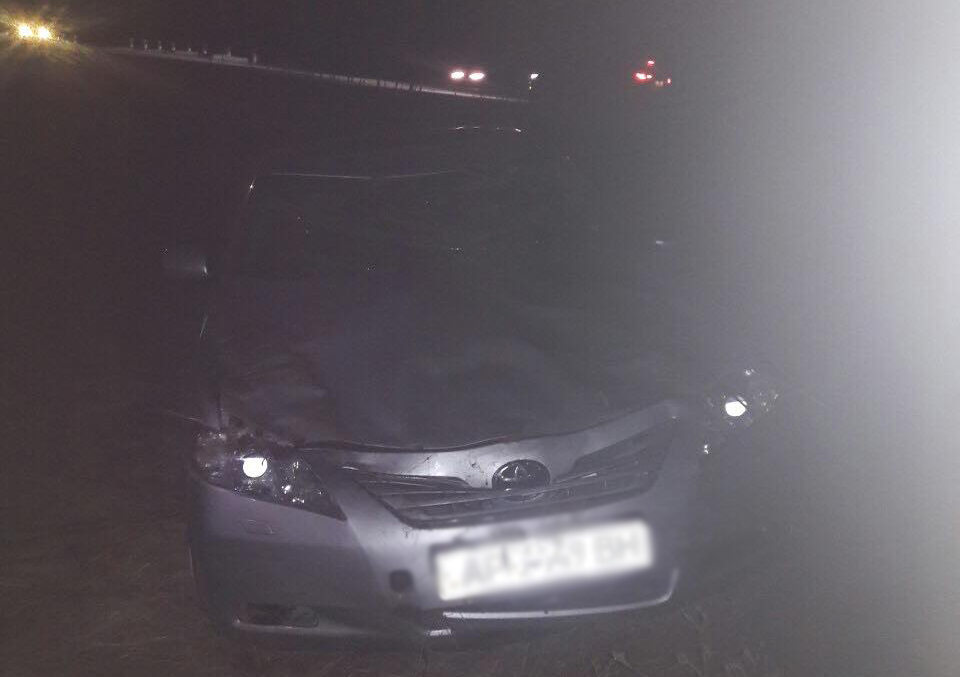 В Запорожской области собака стала причиной ДТП (ФОТО)