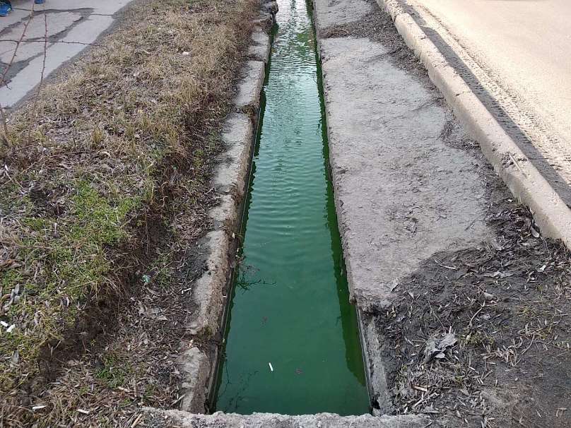 На запорожском курорте вода окрасилась в ярко-зеленый цвет (ФОТО)