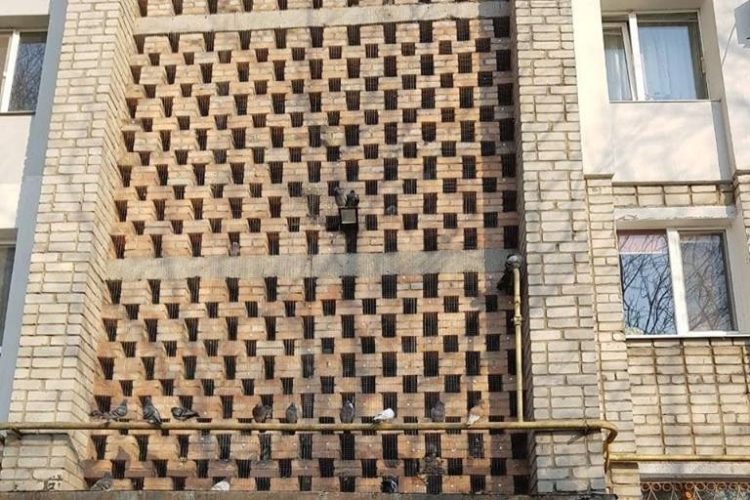 В Запорожской области жильцы многоэтажки замуровали в стене дома сотни живых птиц (ФОТО, ВИДЕО)
