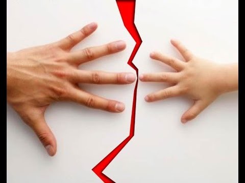 В Запорожской области у отца "похитили" ребёнка , - СМИ