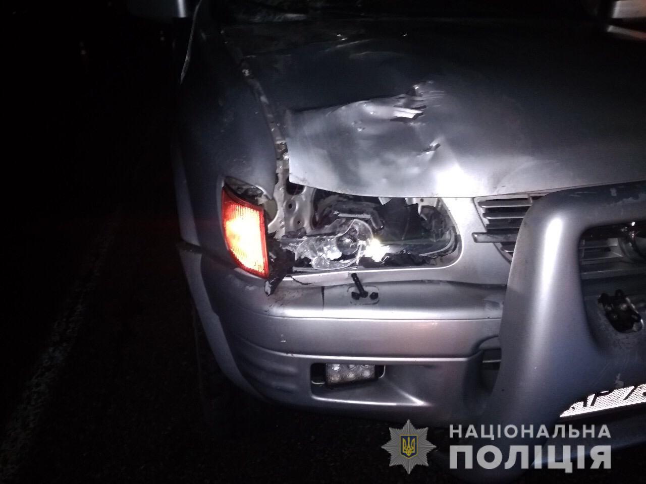 В Запорожской области задавили пешехода (ФОТО)