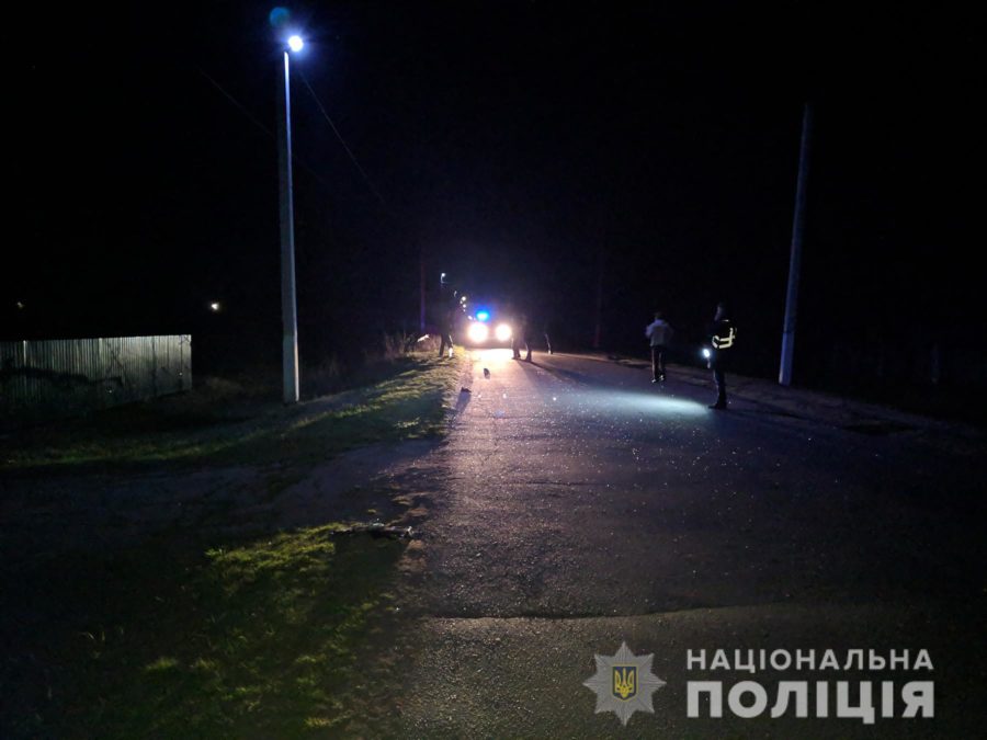 Под Запорожьем пьяный водитель сбил женщину на обочине и скрылся (ФОТО)