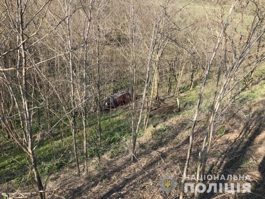В Запорожской области легковушка слетела с дороги и скатилась со склона: есть пострадавшие (ФОТО)