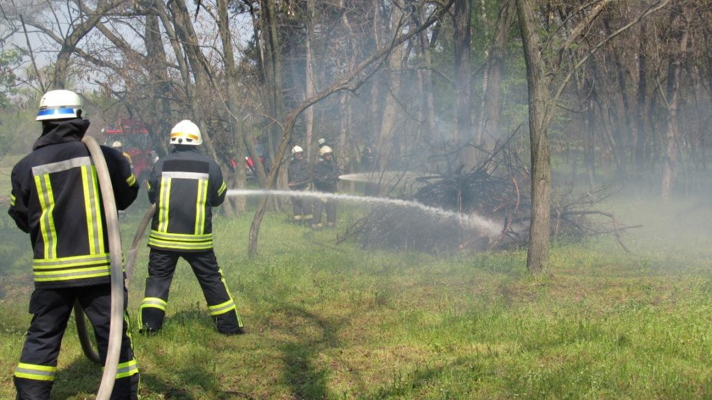 В селе под Запорожьем "горел" лес: опубликованы ФОТО