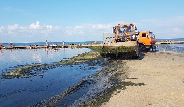 На запорожском курорте берег уже заполнен водорослями