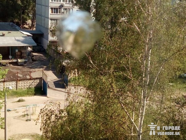 Жильцам многоэтажки расстреляли окна (ФОТО)