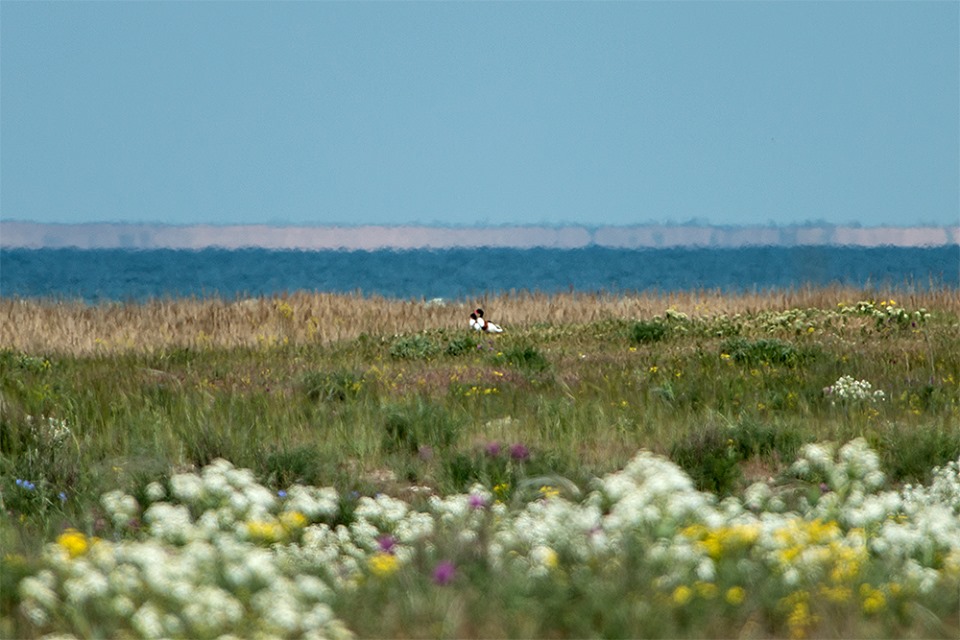 Запорожцам показали, что сейчас происходит на курорте Азовского моря (ФОТО)