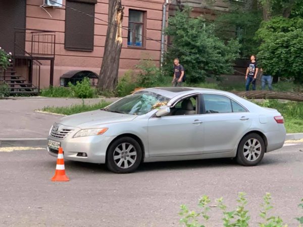 В Запорожье огромная ветка рухнула на проезжавший автомобиль: водитель чудом уцелел (ФОТО)