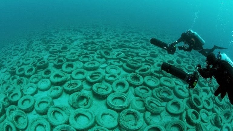 В Запорожской области заявили, что Азовское море находится на грани экологической катастрофы (ФОТО)