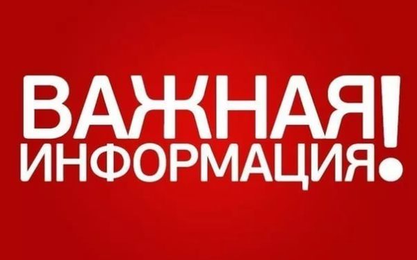 В Запорожской области прямо из детского лагеря исчезли дети