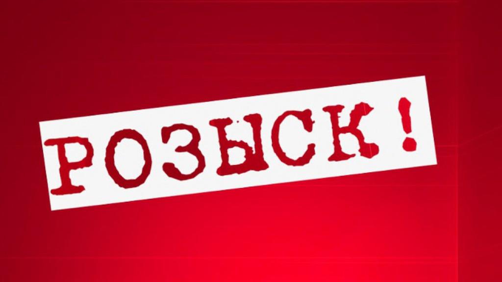 Приглашал в салон машины и предлагал конфеты: в Запорожье разыскивают растлителя малолетних (ФОТО)