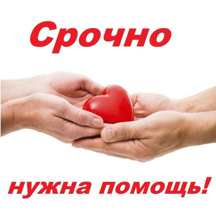 Счёт на дни: ребенок из Запорожья впал в кому