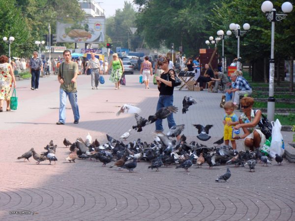 Лихие нулевые: в сети появились фото старой запорожской "стометровки" (ФОТО)