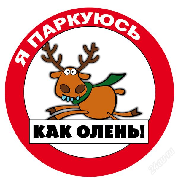 Около въезда на запорожскую плотину ДнепроГЭС заметили "бога парковки" (ФОТО)