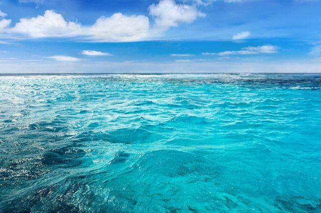 Холод не помеха: в Азовском море запечатлели купающегося (ФОТО)