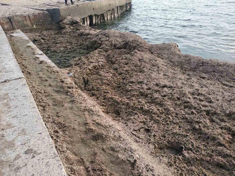 Вонь и грязь: пляжи в курортном городке под Запорожьем пришли в упадок (ФОТО)