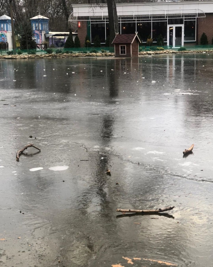 Озеро в Запорожской области превратилось в каток (ФОТО)