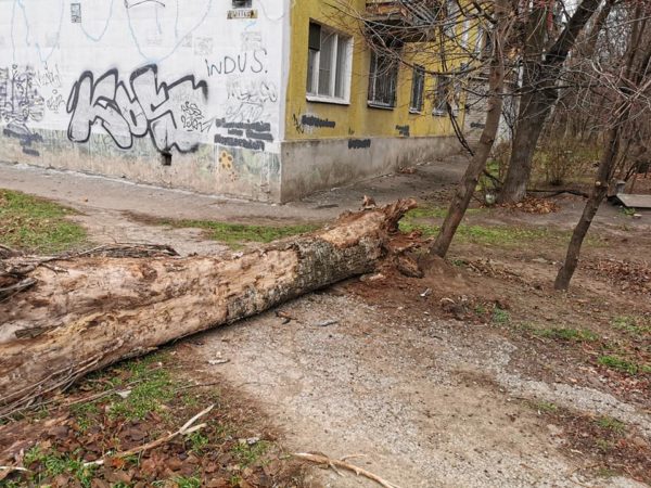 Одна из запорожских управляющих компаний продолжает игнорировать заявки (ФОТО)