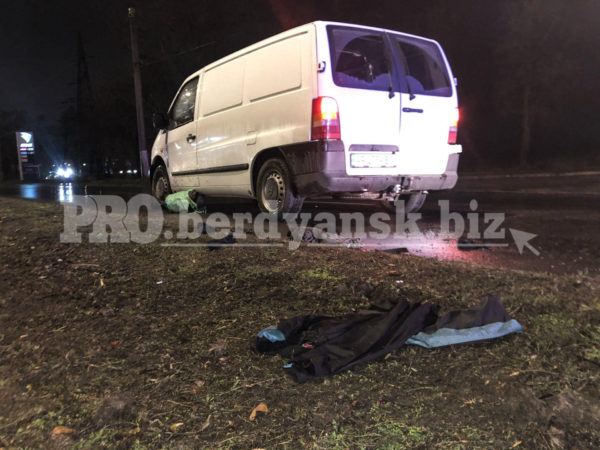 В Запорожской области микроавтобус переехал мужчину (ФОТО)