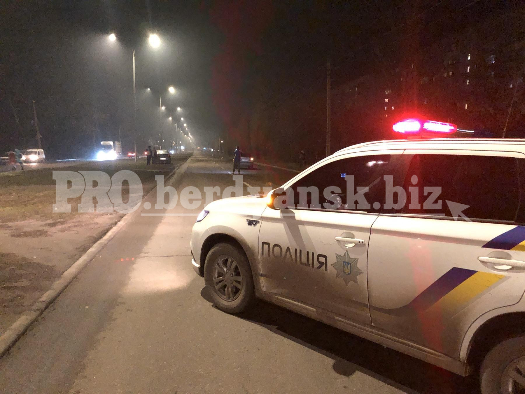 В Запорожской области мужчина под градусом рисковал жизнью на проезжей части (ФОТО)
