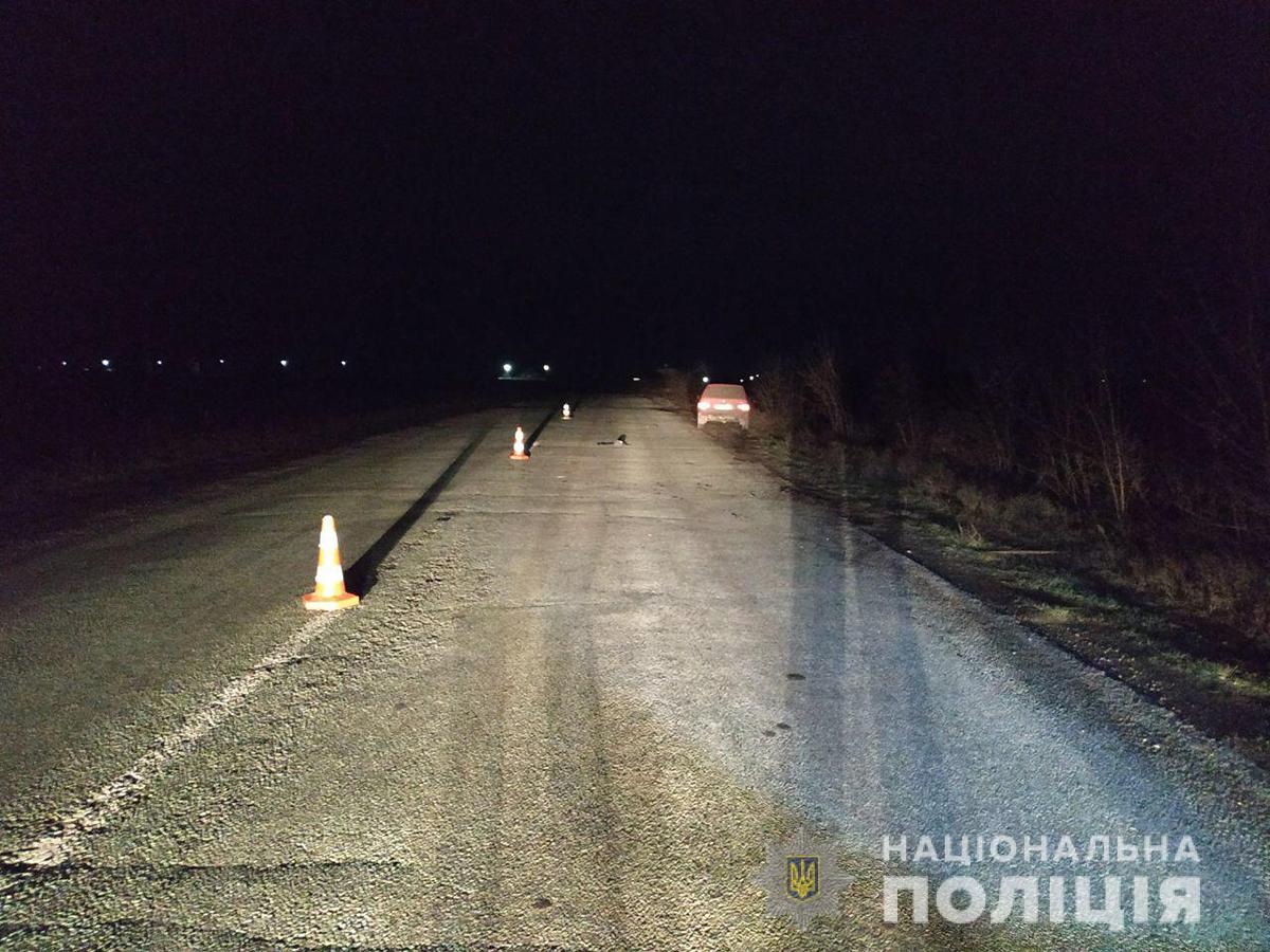 В Запорожской области насмерть сбили пешехода (ФОТО)