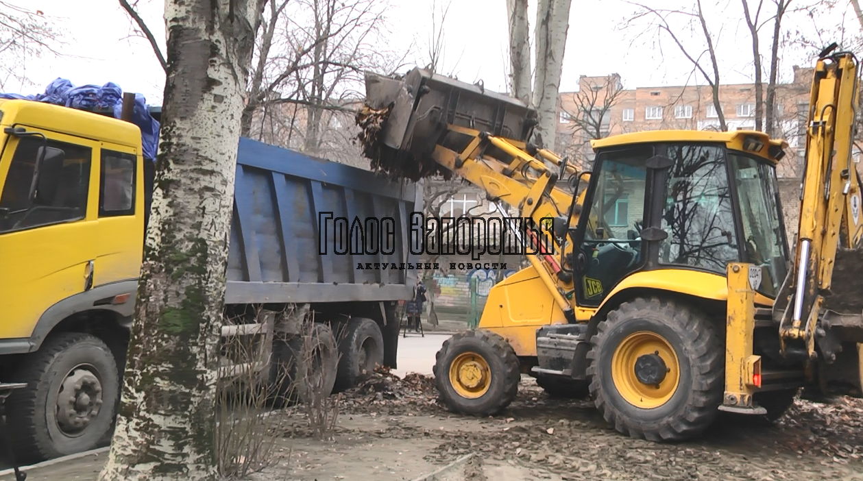 "Где логика?": в Запорожье вывозят осеннюю листву зимой (ФОТО)