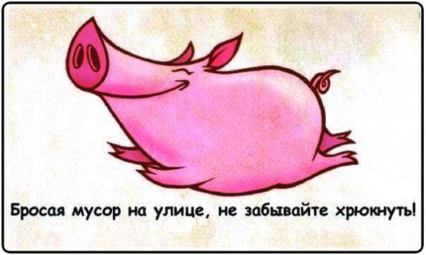 В Запорожье мужчина регулярно выносил свой мусор на тротуар, за что понёс наказание (ВИДЕО)