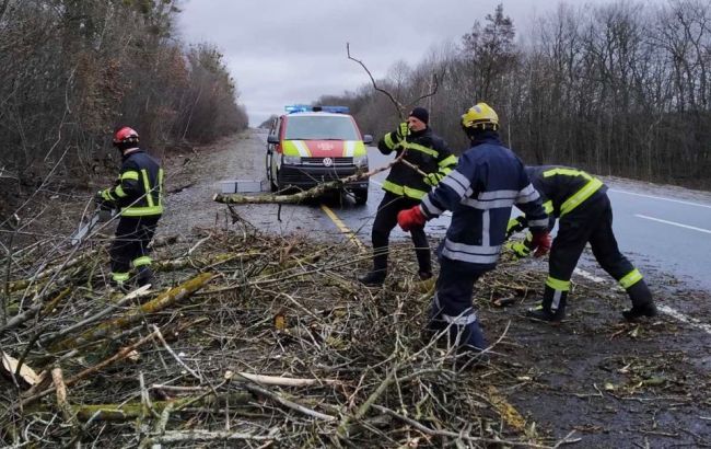 Осторожно, шквал: в Запорожье на дома и автомобили валятся деревья (ФОТО)