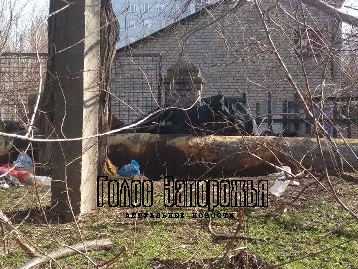 В Запорожье около детского сада обнаружили труп (ФОТО, ВИДЕО)