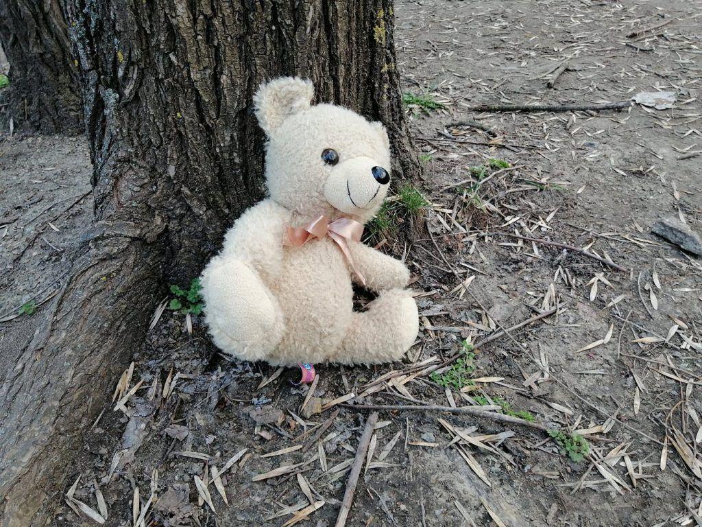 Запорожцев приглашают в "Дубовую рощу", дабы почтить память погибшей девочки (ФОТО)