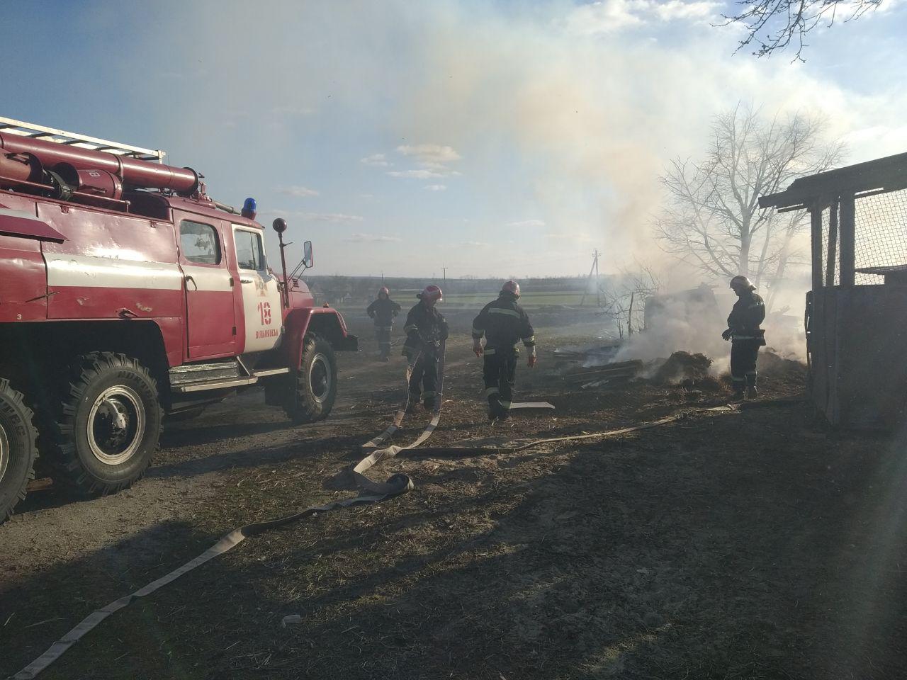 В Запорожской области дети едва не сожгли собственный дом (ФОТО)