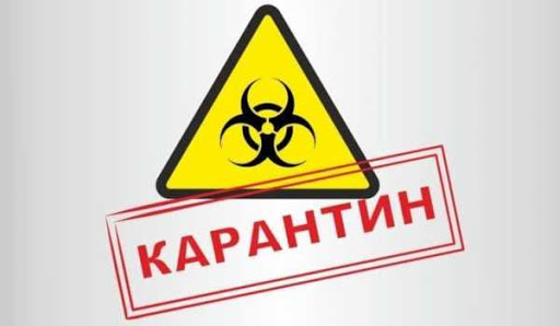Запорожские стихийщики продолжают работать, несмотря на запреты (ВИДЕО)