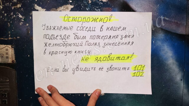 В Запорожской области произошла настоящая паника из-за змеи (ФОТО)