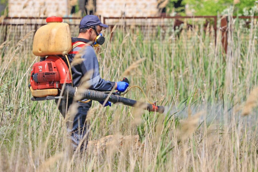 На запорожском курорте начали бороться с нашествием комаров