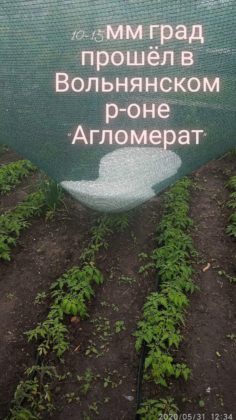 В Запорожской области выпал крупный град: осадки собирали ведрами (ВИДЕО)