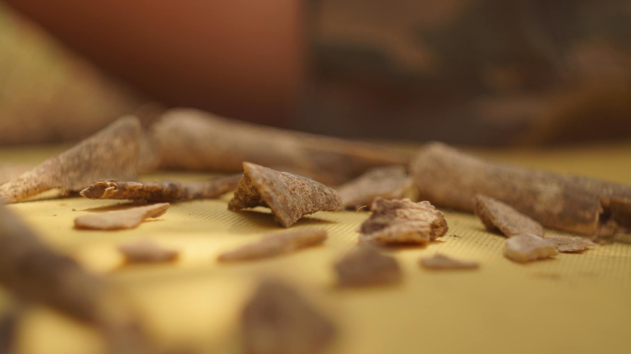 В Запорожской области во время раскопок обнаружили уникальные находки (ФОТО) 5 В Запорожской области во время раскопок обнаружили уникальные находки (ФОТО)