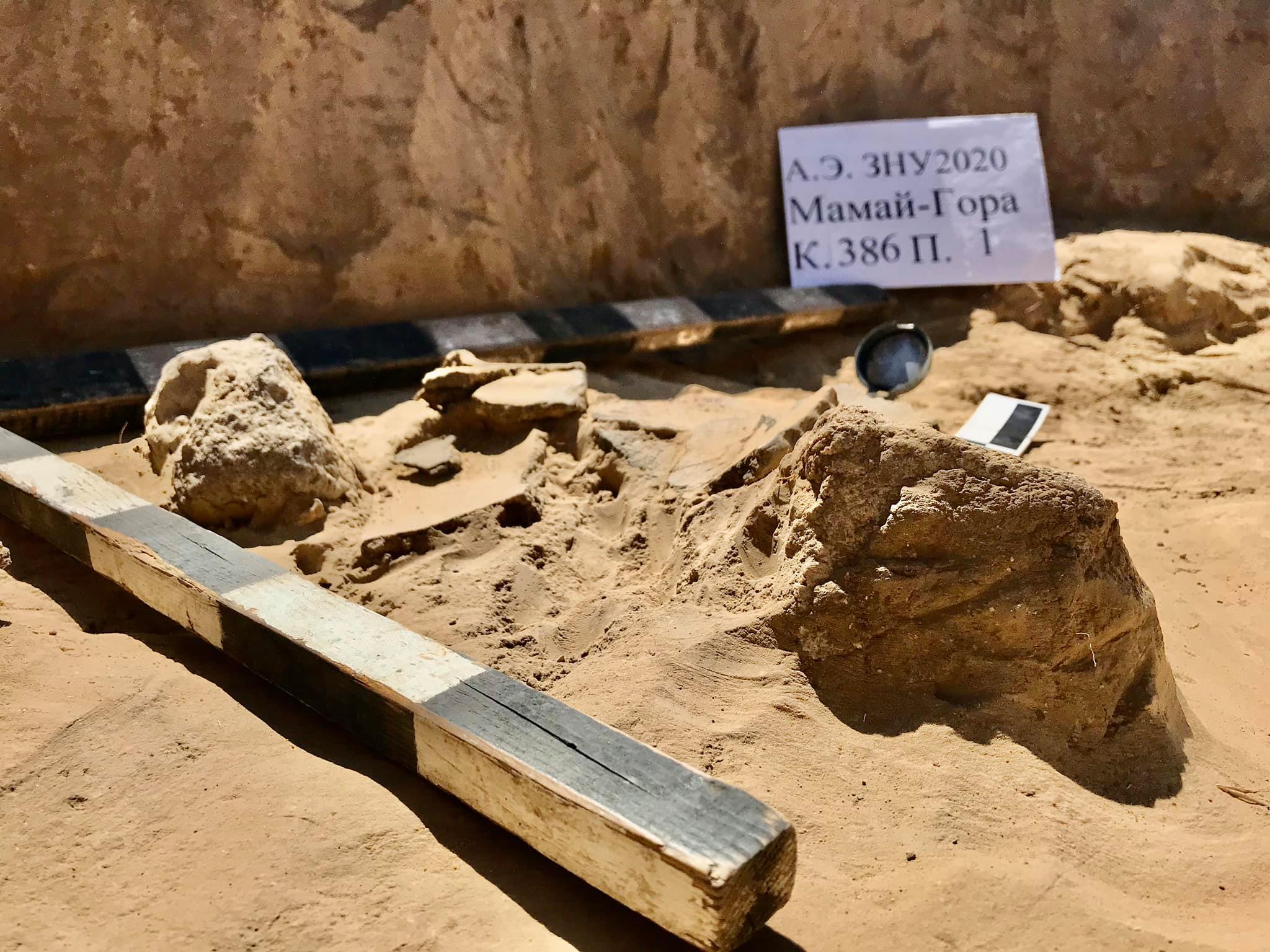 В Запорожской области во время раскопок обнаружили уникальные находки (ФОТО) 7 В Запорожской области во время раскопок обнаружили уникальные находки (ФОТО)
