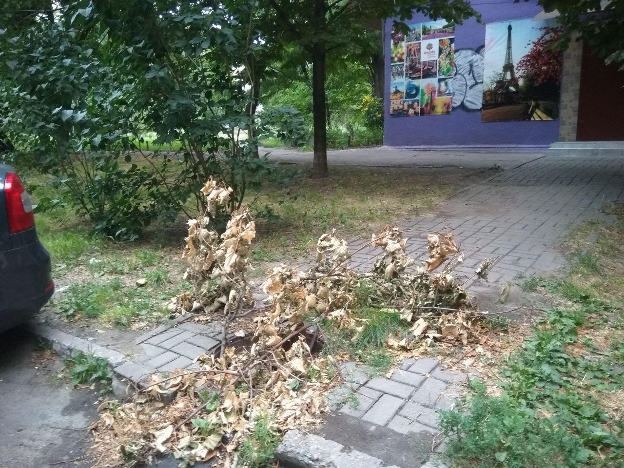 Халтурная работа: в Запорожье "закрывают" открытые канализационные люки хламом (ФОТО)
