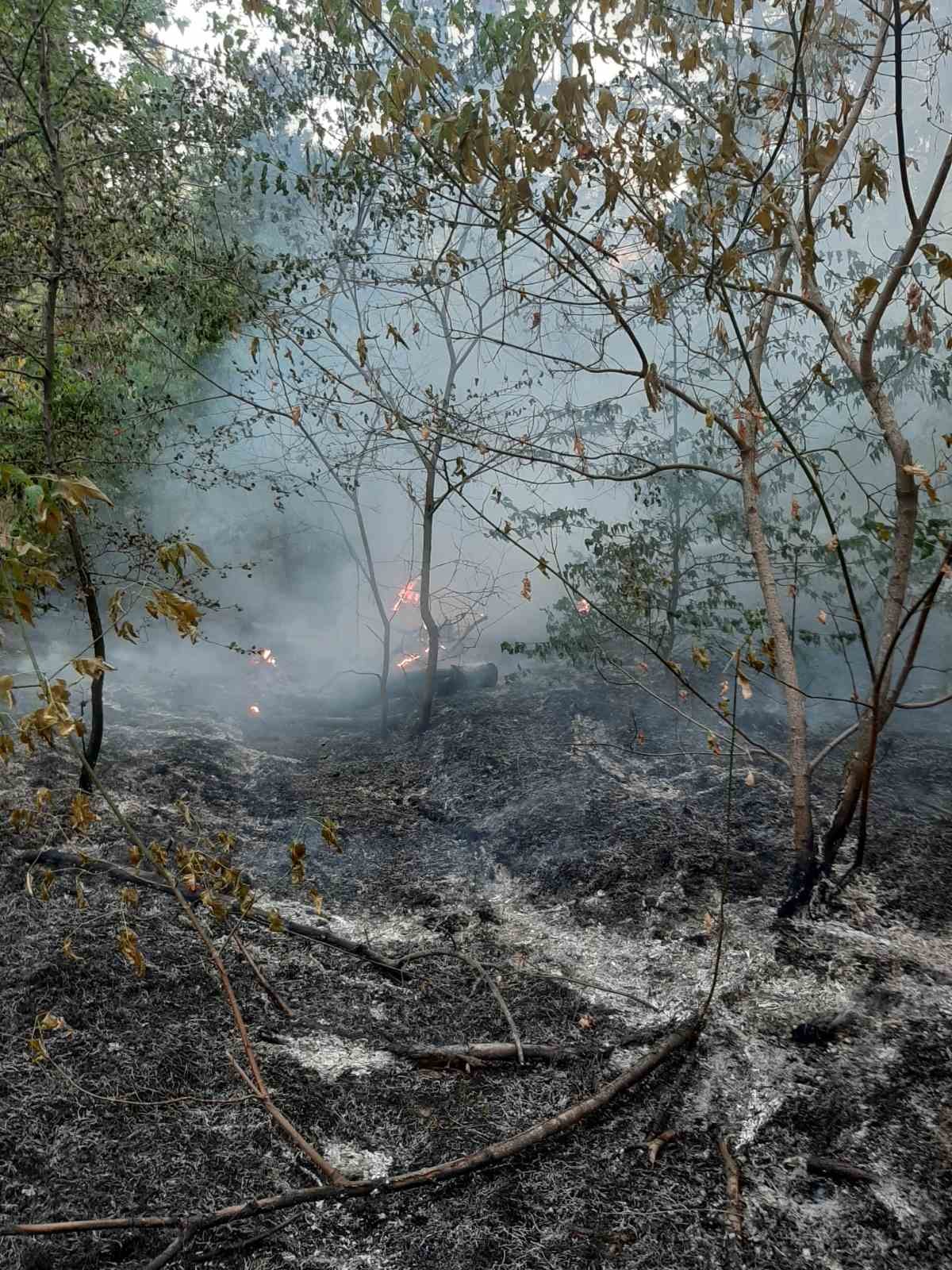 В Запорожье на Хортице случился серьезный пожар (ФОТО) 3 В Запорожье на Хортице случился серьезный пожар (ФОТО)