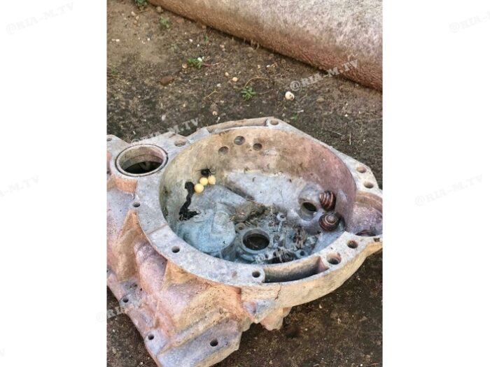 В Запорожской области во дворе частного дома обнаружили гнездо опасного паука (ФОТО)