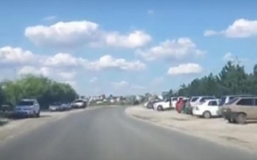 Запорожцам показали, что сейчас происходит на острове Бирючем (ВИДЕО)
