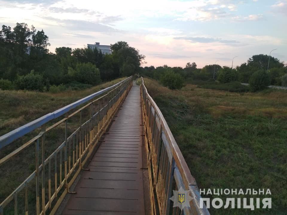 В Запорожской области хозяин сбросил с моста собаку: появились подробности (ФОТО)