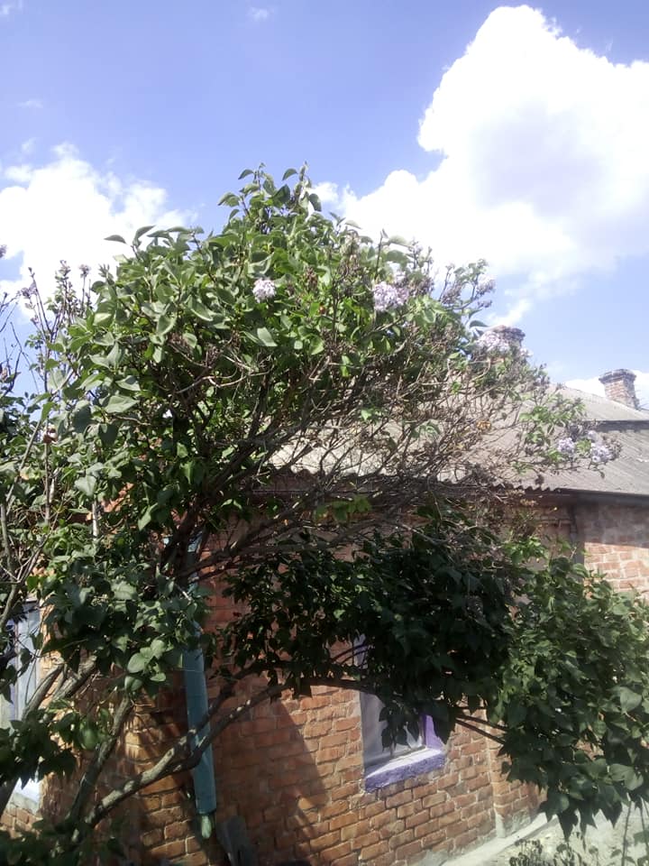 В Запорожской области зафиксировали природную аномалию (ФОТОФАКТ)