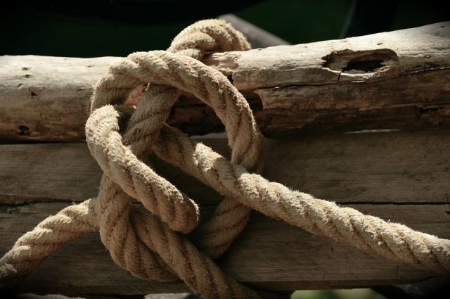 В Запорожской области группа детей нашла мужчину в петле: установлена личность