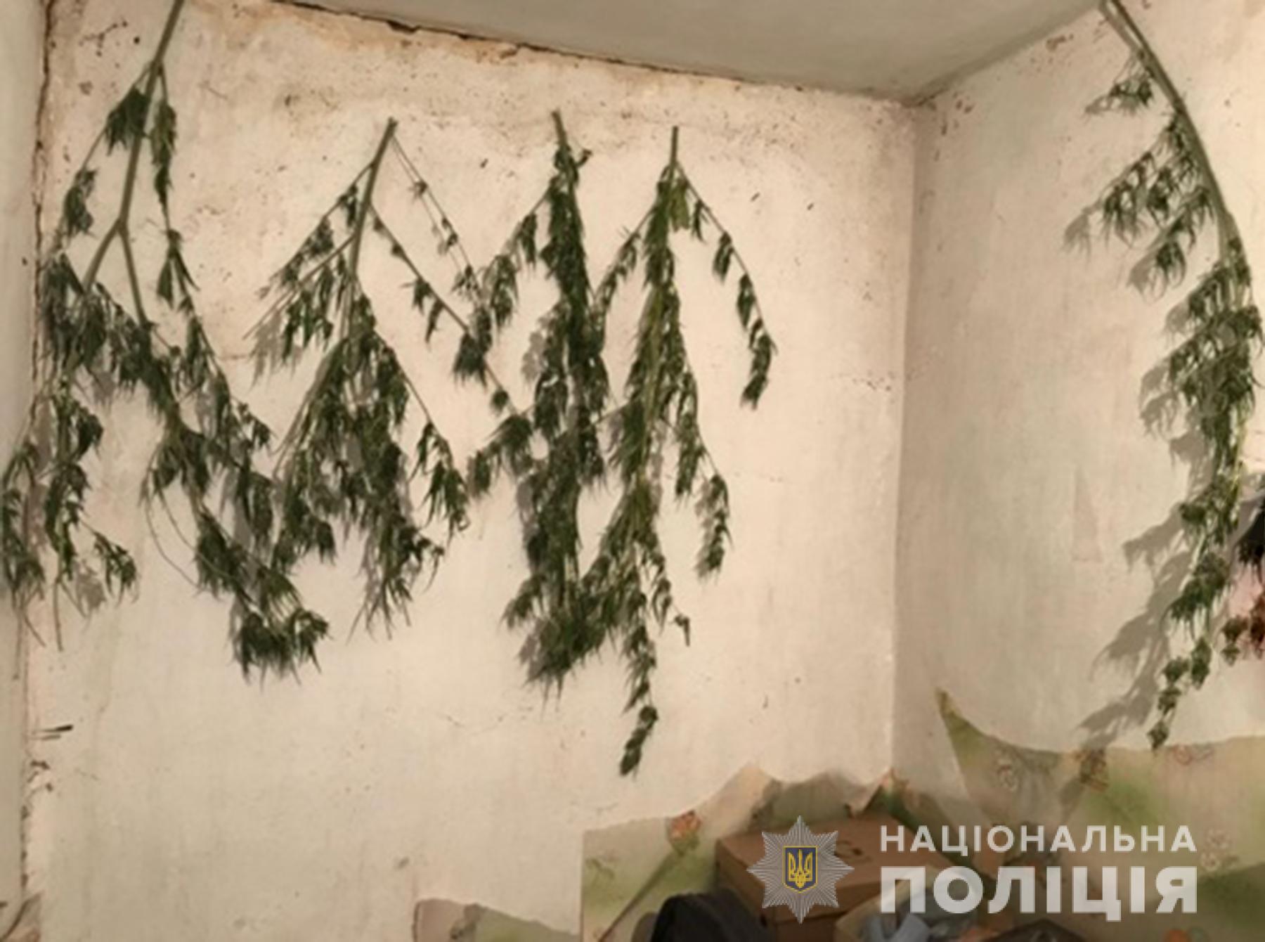 Житель Запорожья вырастил и засушил "незаконный" гербарий (ФОТО)